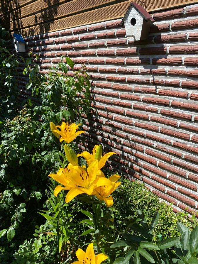 Hanok Guesthouse Suni Seul Zewnętrze zdjęcie